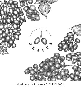 Grape design template. Hand drawn vector grape berry illustration. Engraved style vintage botanical banner.