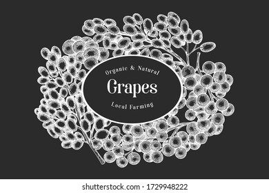 Plantilla de diseño de uva. Ilustración de bayas de uva vectorial dibujada a mano en pizarra de tiza. Banner botánico retro de estilo grabado.