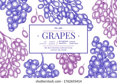 Grape design template. Hand drawn vector grape berry illustration. Engraved style retro botanical banner.