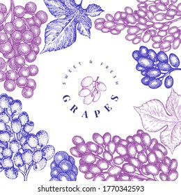 Plantilla de diseño de uva. Ilustración de mora de uva vectorial dibujada a mano. Banner botánico retro de estilo grabado.