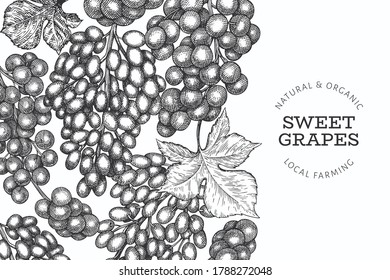 Plantilla de diseño de uva. Ilustración de mora de uva vectorial dibujada a mano. Banner botánico retro de estilo grabado.