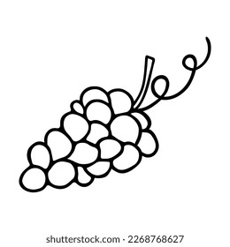 Grape doodle, cooking nutrient. Hand-drawn sweet fruit, proper eating, healthy diet. Sketch, minimalism, line art. Isolated. Vector illustration