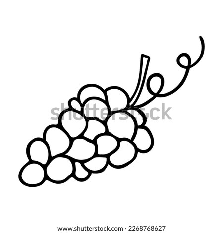 Grape doodle, cooking nutrient. Hand-drawn sweet fruit, proper eating, healthy diet. Sketch, minimalism, line art. Isolated. Vector illustration