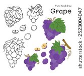 Grape doodle hand drawn outline and colors for kid, Package, labels Design element. Vector illustration