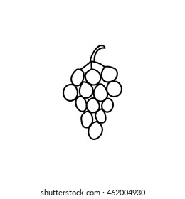 Grape doodle icon illustration isolated vector sign symbol