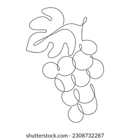 Grape drawn in one continuous line. One line drawing, minimalism. Vector illustration.