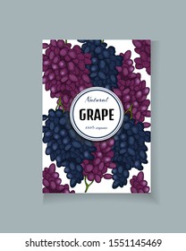 Grape in engraved vintage style, vector isolated illustration in sketch style. Template for banner or label