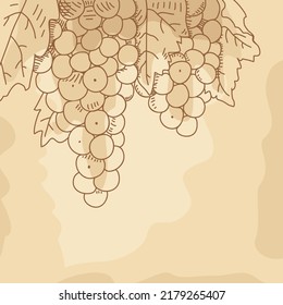Grabado de uvas. Ilustración vectorial dibujada a mano de uvas. Esbozo de vagina.