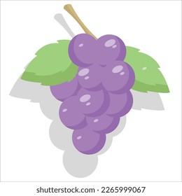 a grape with a flat illustration design has a shadow behind the fruit