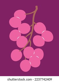Grape in flat style. Sweet fruit.
