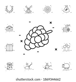 Icono de vector plano de uva en paquete agrícola