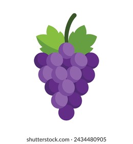 
Grape flat vector illustration on white background