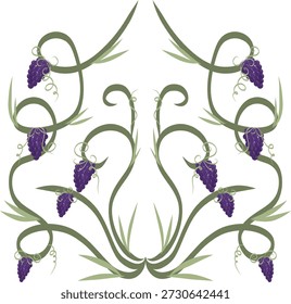 Fondo de Vector botánico floral de uva