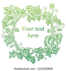 Grape floral frame. Vector sketch