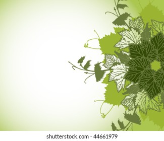 Grape frame. Advertising layout.