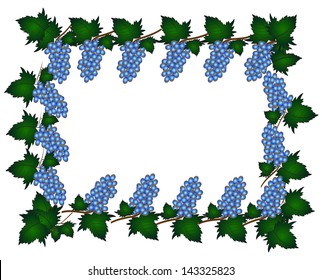 Grape frame isolated on white background. Vector