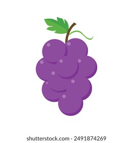 Grape fresh fruit design isolated on white background vector. Popular season fruit.