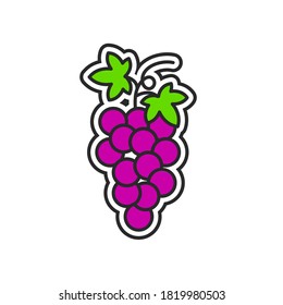 Grape fresh fruit graphic vector illustration.