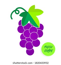 Grape frischen Früchte grafische Vektorgrafik.