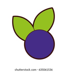 grape fresh fruit icon