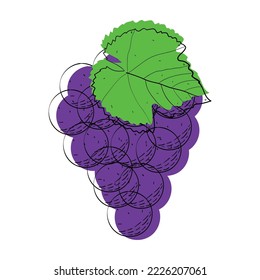 Grape fruit. Abstract modern of grape icon, whole and sliced. For web, print, product design, grape logo. Doddle, line, contour. Vector hand drawn flat illustration.