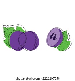 Grape fruit. Abstract modern set of grape icons, whole and sliced, grape leaf. For web, print, product design, grape logo. Doddle, line, contour. Vector hand drawn flat illustration.