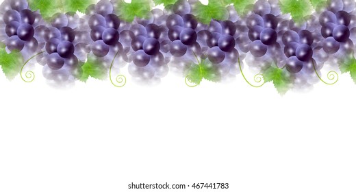 Grape fruit autumn background