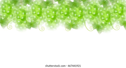 Grape fruit autumn background