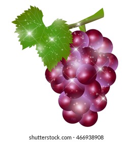 Grape fruit autumn icon