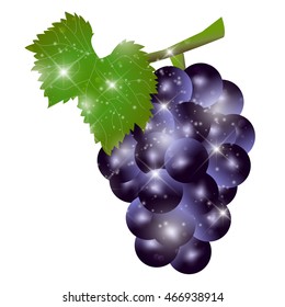 Grape fruit autumn icon