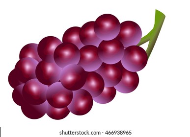 Grape fruit autumn icon