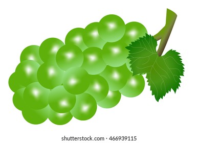 Grape fruit autumn icon