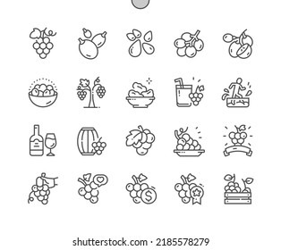 Grape fruit. Barrel of wine. Nature organic food nutrition. Food shop, supermarket. Pixel Perfect Vector Thin Line Icons. Simple Minimal Pictogram