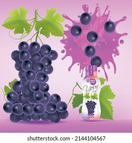 Diseño de botellas de fruta de uva con salpicaduras de zumo de uva.ilustración vectorial