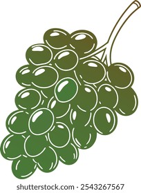 Grape Fruit Color Vector Design