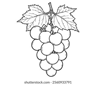 grape fruit coloring page Illustration