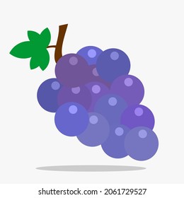 
grape fruit design in flat style. summer fruit
