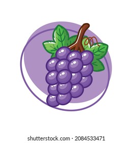 Grape fruit drawing illustration design