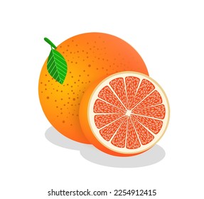 Ilustración vectorial plana de frutos de uva aislada en fondo blanco