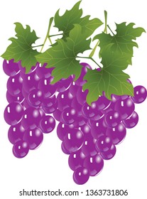 grape  fruit food