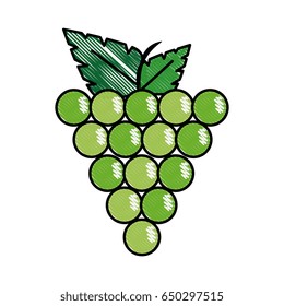 grape fruit food