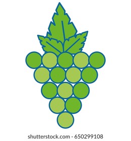 grape fruit food