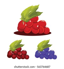Grape Fruit Fresh Realistic Vector Illustration