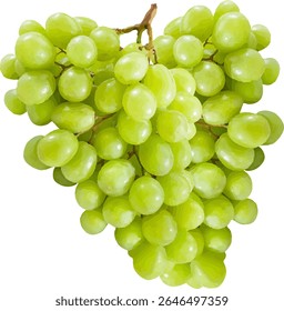 Fruta de uva fresca y dulce1