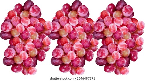 Fruta de uva fresca y dulce10
