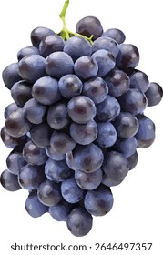 grape fruit fresh and sweet2