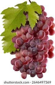Uvas frescas e doces3