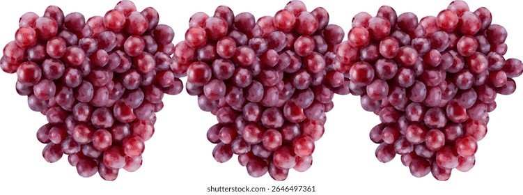 uvas frescas e doces9