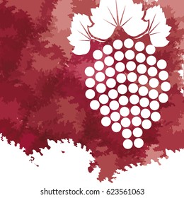 grape fruit fresh wine image