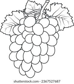 grape, fruit, grapes, leaf, food, bunch, vector